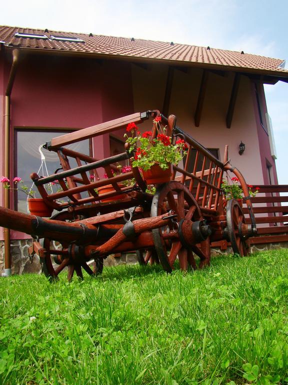 Colt de Rai Hotel Covasna Buitenkant foto